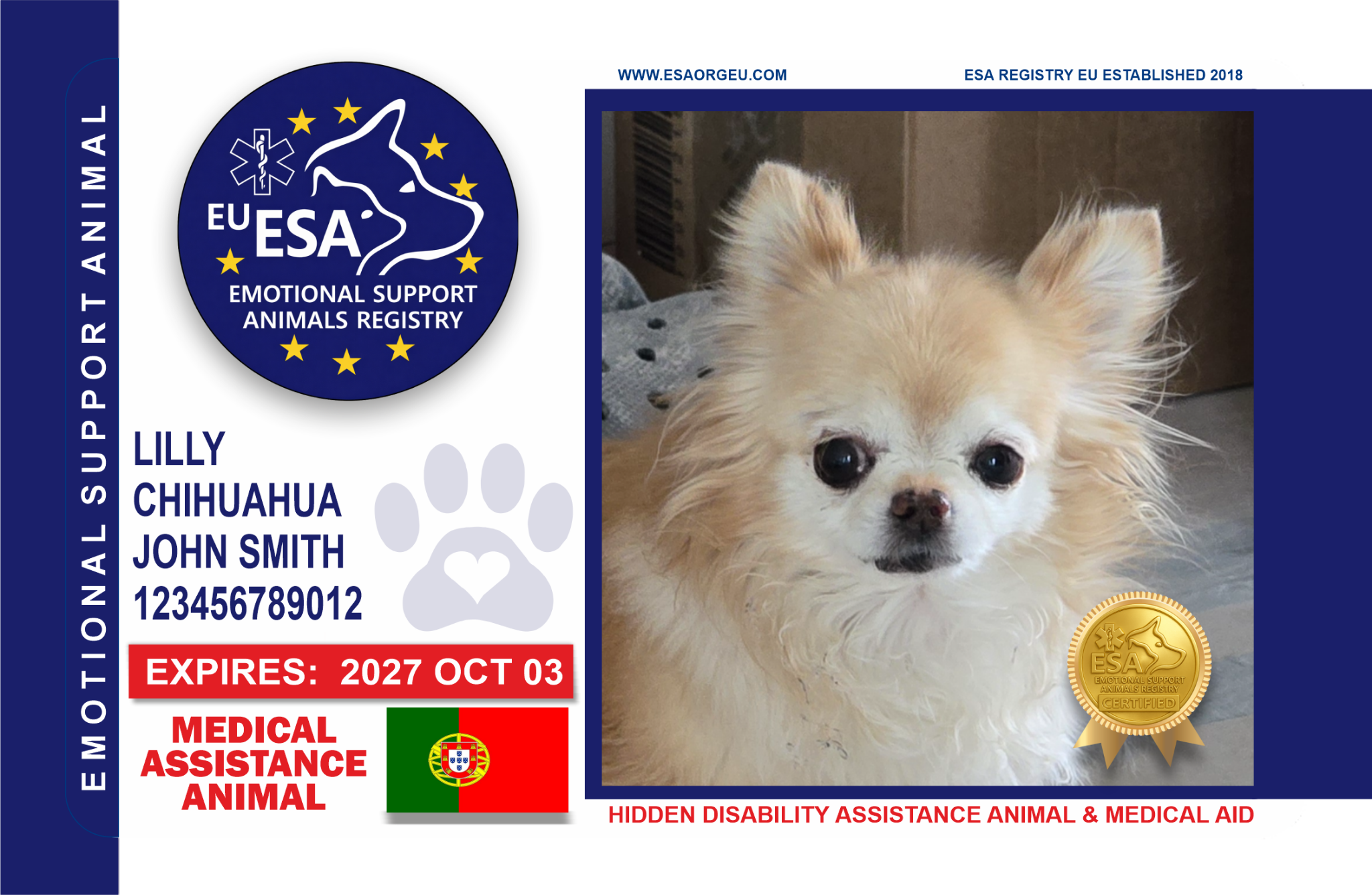 ESA Registry EU Standard Card design
